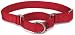 Premier Collar Medium 1-Inch, Red