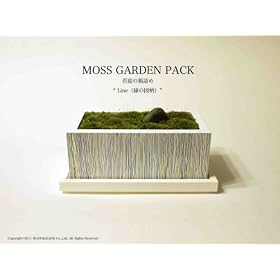 ���̓��̃v���[���g�Ɂ@�C���e���A�O���[���@�����ō��ے�L�b�g "MOSS GARDEN PACK"Line