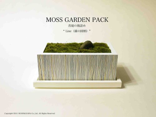 セール：★amazon特別価格30%off★苔の庭を自分で作ってインテリアにする ひのきの箱と苔庭 キット "MOSS GARDEN PACK"Line　水受け皿有り