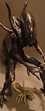 hot toys avp alien warrior special edition 16" action figure