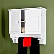 Southern Enterprises Nassau Louvred Wall Cabinet