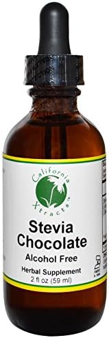 Best California Xtracts, Stevia Chocolate, Alcohol Free, 2 fl oz (59 ml), ( 2 PACK), Fit &amp; Fresh, CleanTek, Shaker Cup with Ice Wand Agitator &amp; Storage Cup, 1 Cup BUNDLE