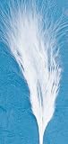 Plume Duvetee Blanc - Sachet De 15