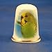 Porcelain China Thimble -- Green Budgerigar