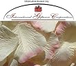 1000 Silk Rose Petals Wedding Favors - Two Tone - Ivory/Pink