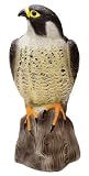 Falcon Garden Bird Decoy Pigeon Crow Scarer Repellent