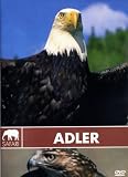 Eigenschaften WVG Medien GmbH  / Safari - Adler