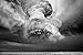 Mitch Dobrowner: Storms