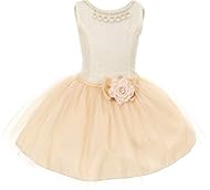 Girls Short Lace Mesh    Taffeta/Tulle  Dress With a Bow(s) and Rhinestones and Pearls