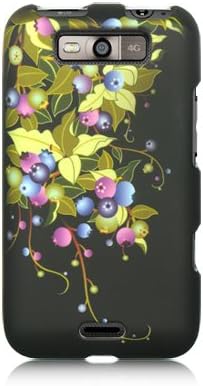 p2s88 Black with Blueberry Plant Snap on Rubberized Crystal Hard Skin Phone Cover Case for LG Connect 4G / MS840