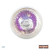 ELC 500 Hr 24v Lamp ELC/5