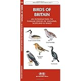 birds of britain a folding pocket guide to familiar species of england scotland  wales pocket naturalist guide