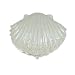 Shell Trinket Box Pearls - White Enamel - Silver Plating