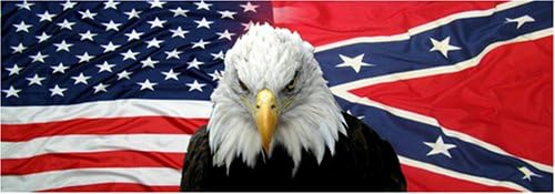 EAGLE #7 REAR WINDOW MURAL,DECAL,TINT