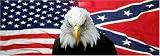 EAGLE #7 REAR WINDOW MURAL,DECAL,TINT