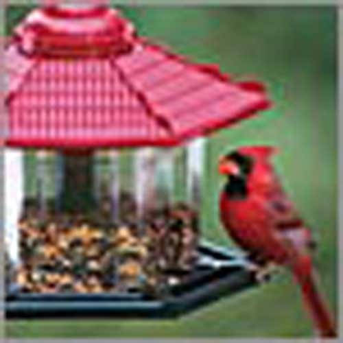 Gazebo Bird Feeder (Bird (Seed Feeders)