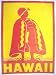 Hawaiian King Kamehameha Large Hawaii Sticker Decal