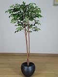 光触媒 観葉植物 マウンテンアッシュ 125cm