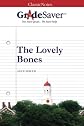 GradeSaver(TM) ClassicNotes: The Lovely Bones