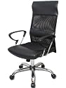 "Berkshire" Executive Leather Mesh Ergonomic Office Chair w/ Lumbar Support