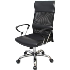 Berkshire Executive Leather Mesh Ergonomic Office Chair w  Lumbar Support by The Green Group