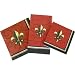 Old World Red Fleur de Lis Paper Napkins, Luncheon, Cocktail or Guest Towel sizes