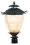 Kenroy Home 70254OBZ Azalea Large Post Lantern