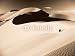Wallmonkeys Peel and Stick Wall Decals - Desert Fight - Removable Graphic