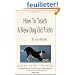 How to Teach a New Dog Old Tricks
