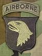 101st Airborne Patch Subdued with Airborne Tab