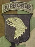 101st Airborne Patch Subdued with Airborne Tab