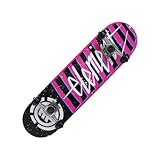 Element Electric Skateboard Complete