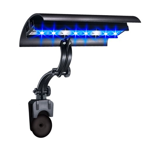 Wave-point 6-Inch 8-Watt Super Blue and Daylight Micro Sun LED High Output Clamp Light