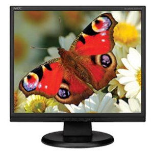 NEC Display Solutions AS171 17-Inch 5ms 250 cd/m2 