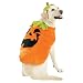Pumpkin Pet Costume – XL
