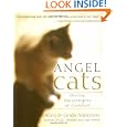 Angel Cats: Divine Messengers of Comfort by Allen Anderson and Linda Anderson