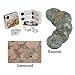 Ancient Roman Coins Preservation Kit