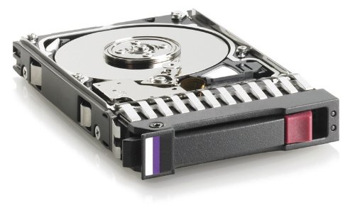 HP 300GB 6G SAS 15K DP Ent 300 SAS 16 MB Cache 2.5-Inch Hard Drive, C8S61A
