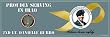 Army Iraqi Freedom Bumper Sticker(Yellow Ribbon inset)