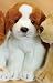   - Plush Beagle Sitting Puppy 15