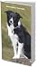 Border Collies 2010 Pocket Planner