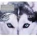 The Seer Ep