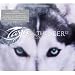 Seer Ep