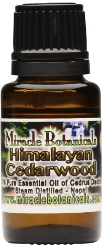 Cedarwood (Himalayan) Essential Oil - 100% Pure Cedrus Deodora 15ml