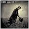 My favourite TOM WAITS albums