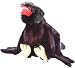 Cuddlekins Turkey Vulture 12 Plush