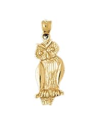 Dazzlers Solid 14k Gold Owl Charm Pendant Available in three colors from jewelsberry (weights: 2.1 grams only)