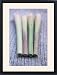 Framed Prints of Lemon grass from Science Photo Library