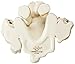 Lenox Merry Moose Choir Ornament 2015