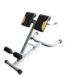 Everlast 45 Degree Hyper Extension